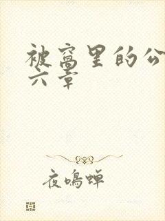 被窝里的公息十六章