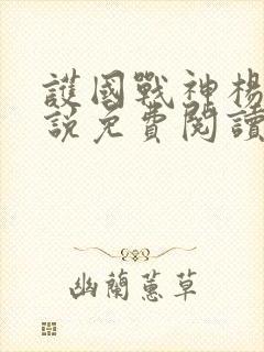 护国战神杨风小说免费阅读