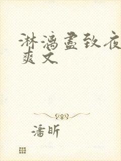 淋漓尽致夜晚小爽文