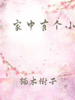 家中有个小姨子