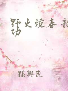 野火烧春 龙鸣功