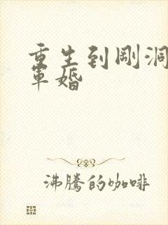 重生到刚洞房的军婚