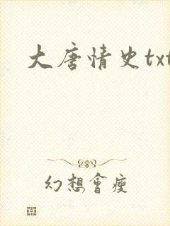 大唐情史txt
