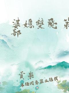 婆媳双飞 第一部