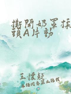 撕开奶罩揉吮奶头A片动