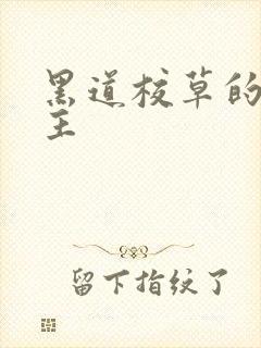 黑道校草的冷公主