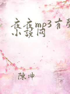 夜夜mp3有声小说网
