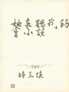 她来听我的演唱会小说