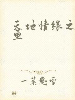 天地情缘之美人鱼