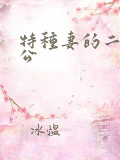 特种妻的二手老公