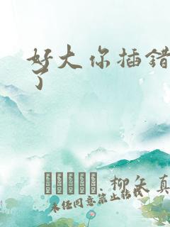 好大你插错地方了