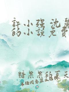 许小强 沈丽娟的小说免费阅读