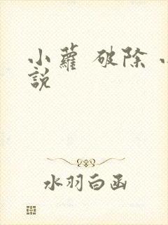 小萝 破除 小说