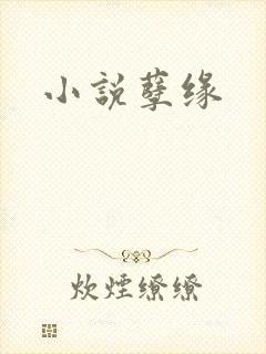 小说孽缘