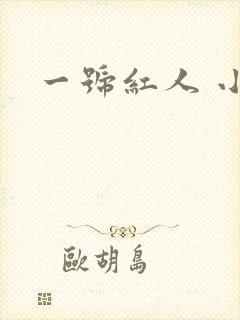 一号红人 小说