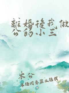 离婚后我做了老公的小三