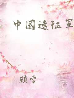 中国远征军下载