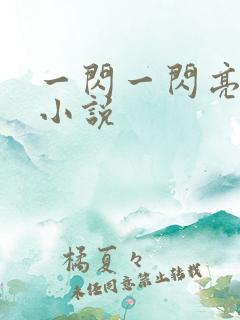 一闪一闪亮晶晶小说