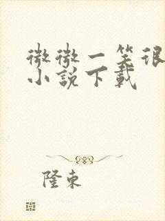 微微一笑很倾城小说下载