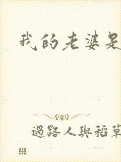 我的老婆是军阀