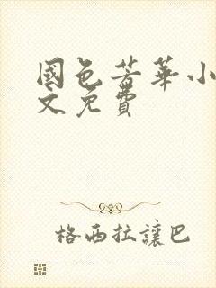 国色芳华小说全文免费