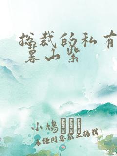 总裁的私有宝贝 暮山紫