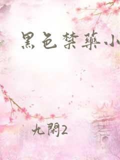 黑色禁药小说
