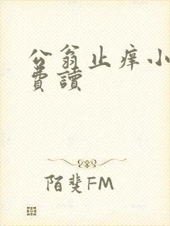 公翁止痒小说免费读