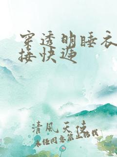 穿透明睡衣开门接快递