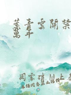 叶青云关禁闭一万年