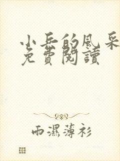 小兵的风采小说免费阅读