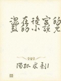 混在后宫的假太监的小说免费阅读