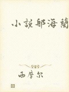 小说那海兰珠