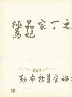 极品家丁之册母为妃