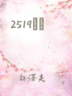 2519С˵