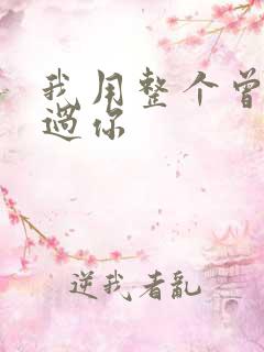 我用整个曾经爱过你