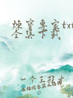 炼宝专家txt全集下载