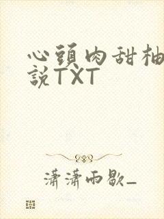 心头肉甜柚子小说TXT