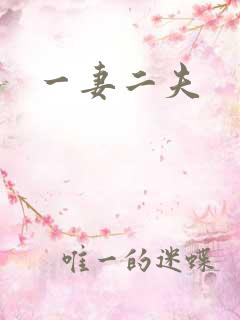 一妻二夫