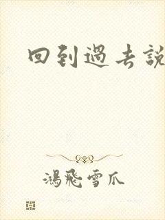 回到过去说爱你