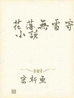 花落无处寄相思 小说