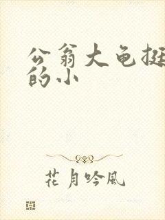 公翁大龟挺进我的小