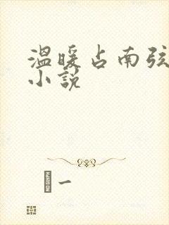 温暖占南弦尹衿小说