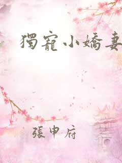 独宠小娇妻