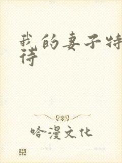 我的妻子特殊招待
