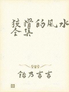 狡猾的风水相师全集