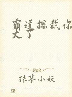 霸道总裁你的太大了