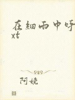 在细雨中呼喊txt