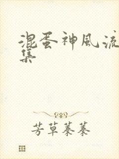 混蛋神风流史全集