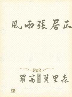 风雨张居正下载